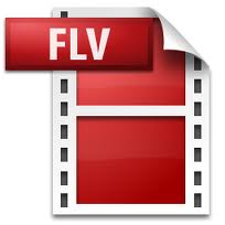 Flash Video Flash Video