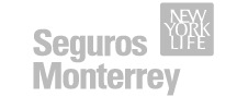 Seguros Monterrey New York Life Seguros Monterrey New York Life